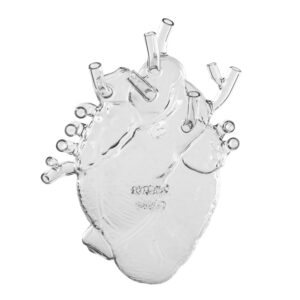 Anatomical Heart of Glass Vase- Love in Bloom