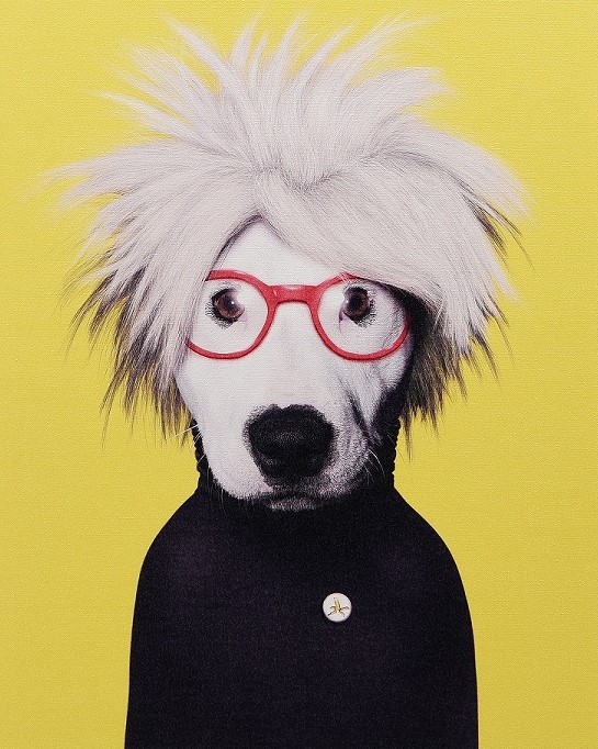 Dog Portrait By Andy Warhol Dog Art 